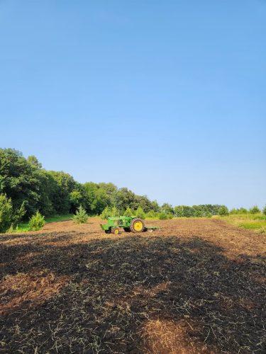Forestry-Service-in-Meeker-County-Minnesota-30