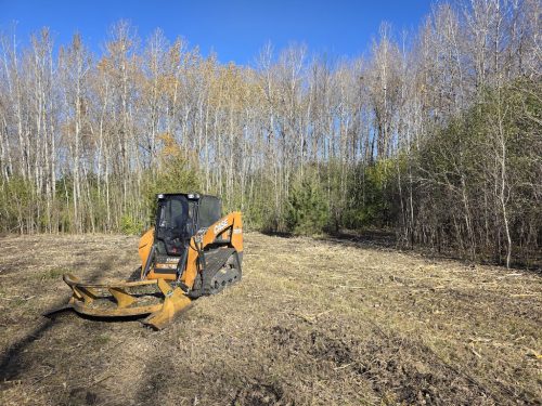 Forestry-Service-in-Meeker-County-Minnesota-30 (1)