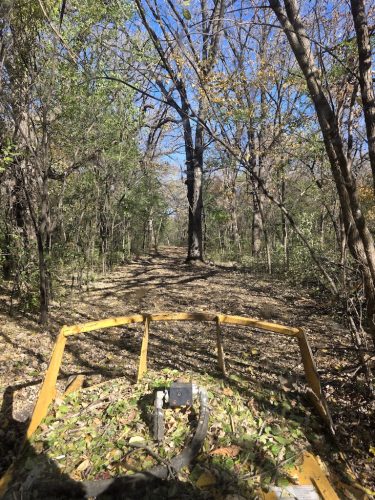 Forestry-Service-in-Meeker-County-Minnesota-31 (1)