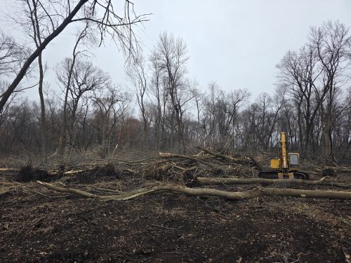 Forestry-Service-in-Meeker-County-Minnesota-33 (1)