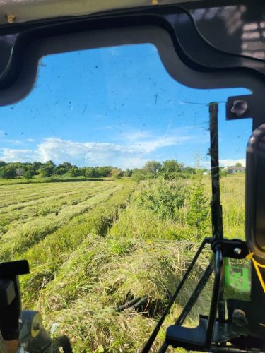 Forestry-Service-in-Meeker-County-Minnesota-34