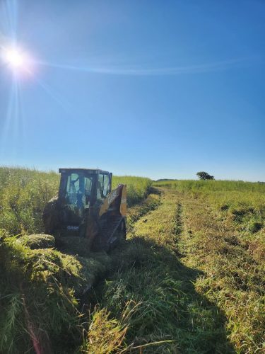 Forestry-Service-in-Meeker-County-Minnesota-35