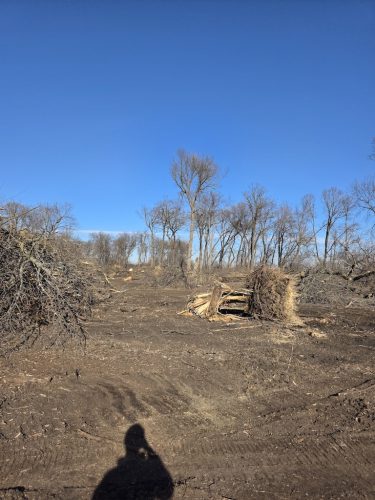 Forestry-Service-in-Meeker-County-Minnesota-36 (1)