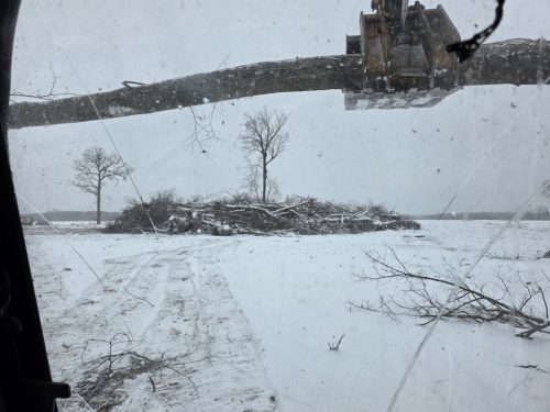 Forestry-Service-in-Meeker-County-Minnesota-38 (1)