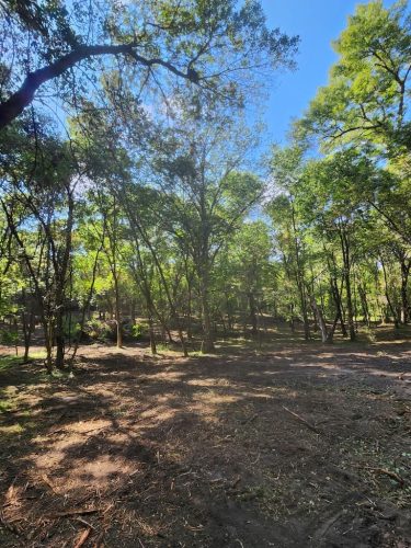 Forestry-Service-in-Meeker-County-Minnesota-40