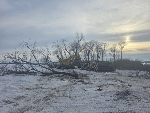 Forestry-Service-in-Meeker-County-Minnesota-40 (1)
