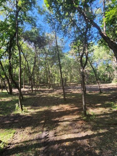 Forestry-Service-in-Meeker-County-Minnesota-41