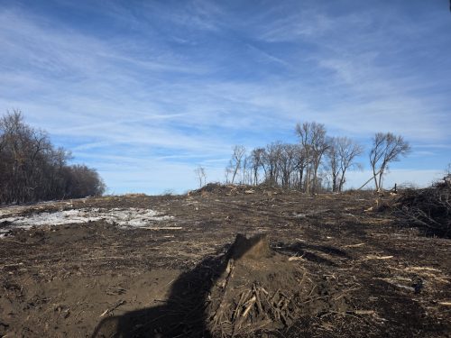 Forestry-Service-in-Meeker-County-Minnesota-41 (1)