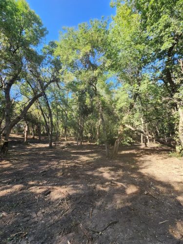 Forestry-Service-in-Meeker-County-Minnesota-42