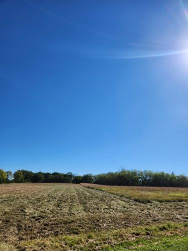Forestry-Service-in-Meeker-County-Minnesota-45
