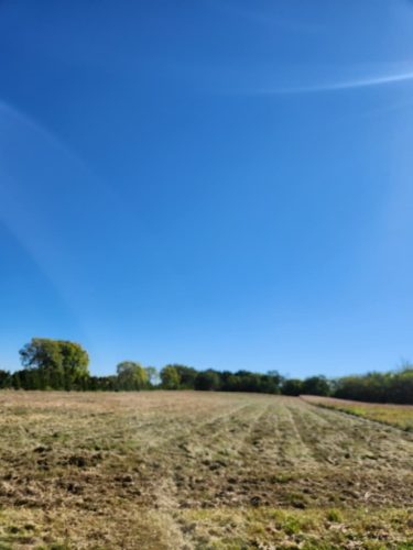 Forestry-Service-in-Meeker-County-Minnesota-46