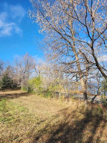Forestry-Service-in-Meeker-County-Minnesota-49