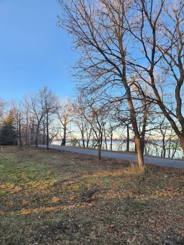 Forestry-Service-in-Meeker-County-Minnesota-50