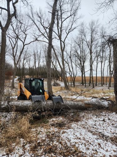Forestry-Service-in-Meeker-County-Minnesota-51