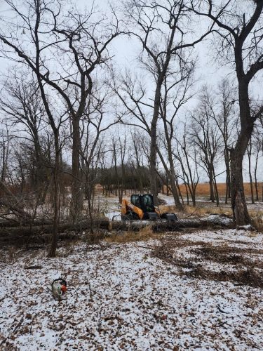 Forestry-Service-in-Meeker-County-Minnesota-52