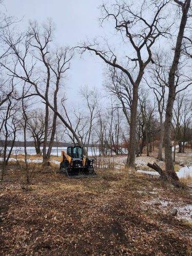 Forestry-Service-in-Meeker-County-Minnesota-53