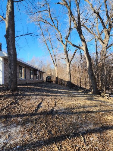 Forestry-Service-in-Meeker-County-Minnesota-54