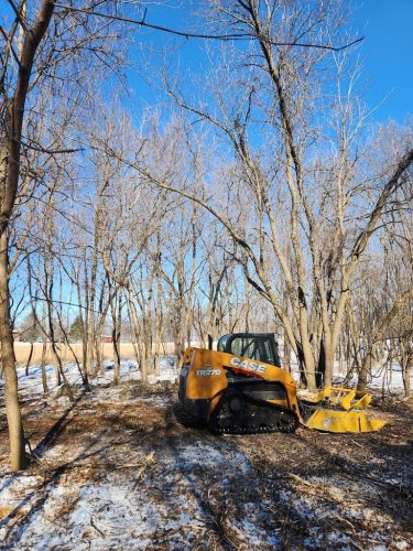 Forestry-Service-in-Meeker-County-Minnesota-55