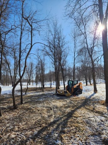 Forestry-Service-in-Meeker-County-Minnesota-56