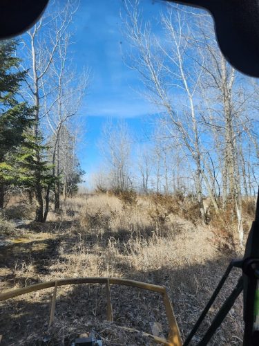 Forestry-Service-in-Meeker-County-Minnesota-57