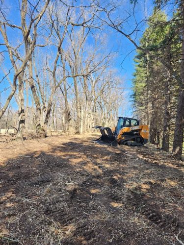 Forestry-Service-in-Meeker-County-Minnesota-63