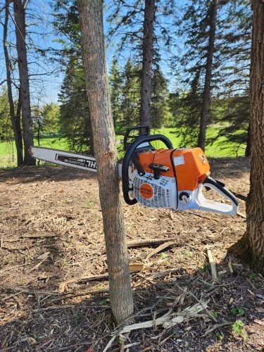 Forestry-Service-in-Meeker-County-Minnesota-68