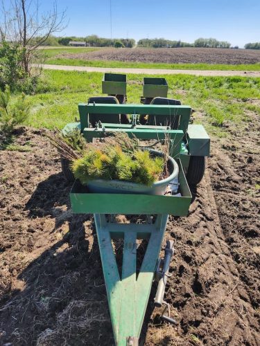 Forestry-Service-in-Meeker-County-Minnesota-70