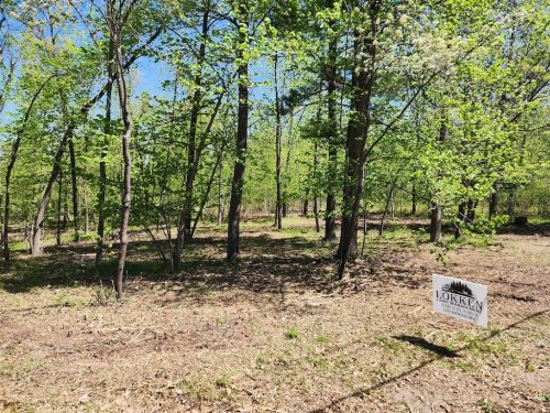 Forestry-Service-in-Meeker-County-Minnesota-75