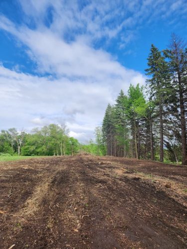 Forestry-Service-in-Meeker-County-Minnesota-76