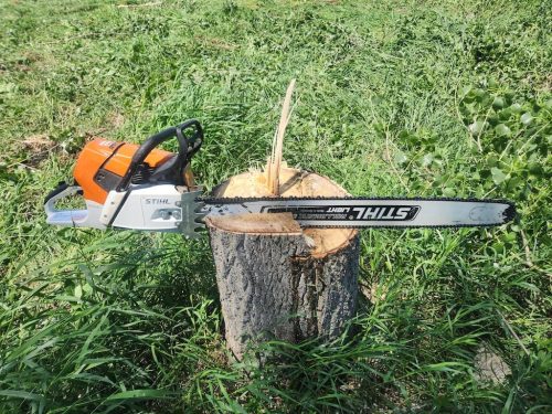 Forestry-Service-in-Meeker-County-Minnesota-80