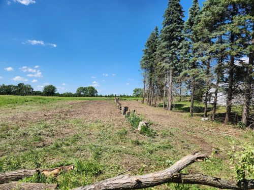 Forestry-Service-in-Meeker-County-Minnesota-83