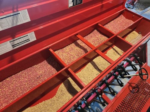 Forestry-Service-in-Meeker-County-Minnesota-84