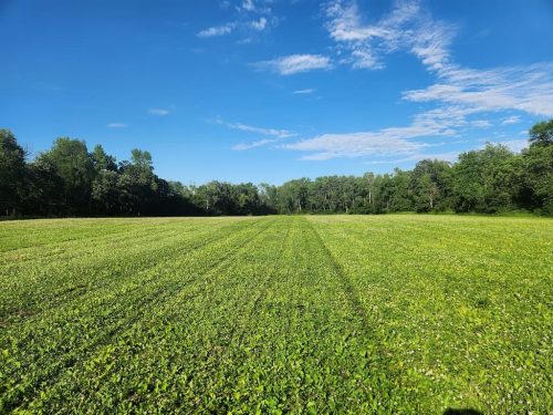 Forestry-Service-in-Meeker-County-Minnesota-85