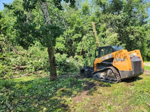 Forestry-Service-in-Meeker-County-Minnesota-91