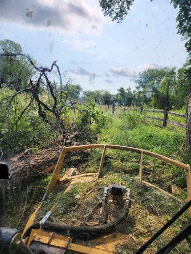 Forestry-Service-in-Meeker-County-Minnesota-92