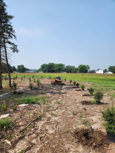 Forestry-Service-in-Meeker-County-Minnesota-95