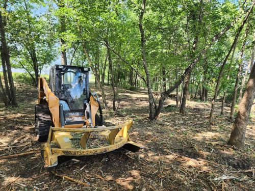 Forestry-Service-in-Meeker-County-Minnesota-97