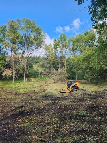 Forestry-Service-in-Meeker-County-Minnesota-9 (1)